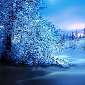 Meet your Posher, Maddie